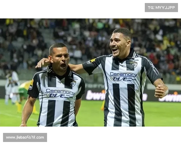 波尔蒂足球俱乐部别名背后的历史渊源与趣味揭秘